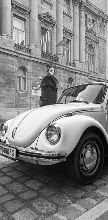 VW Beetle